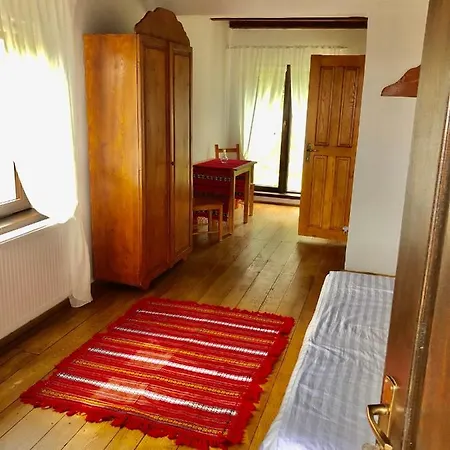 The Carpathian Guest house Runcu (Gorj)
