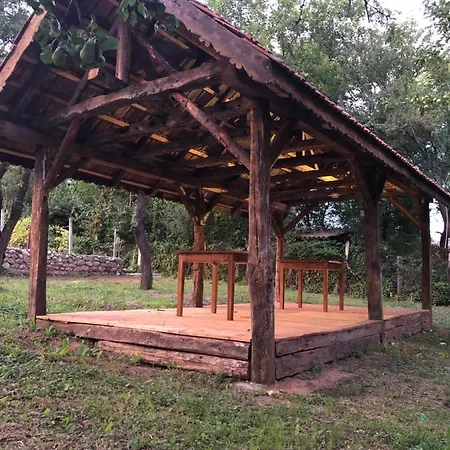 Guest house The Carpathian Runcu (Gorj)
