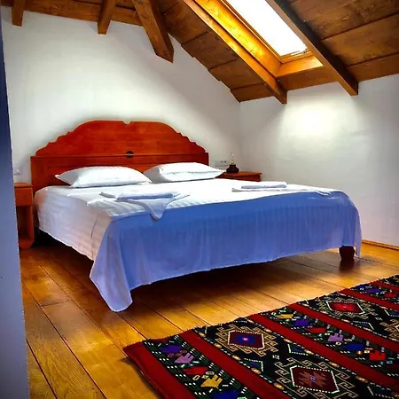 Guest house The Carpathian Runcu (Gorj)