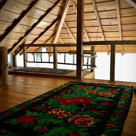 The Carpathian Guest house Runcu (Gorj)