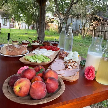 The Carpathian Guest house Runcu (Gorj)