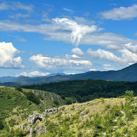 Guest house The Carpathian *