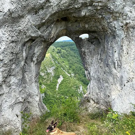 Guest house The Carpathian Runcu (Gorj)