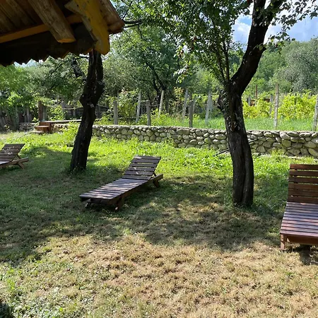 The Carpathian Guest house Runcu (Gorj)