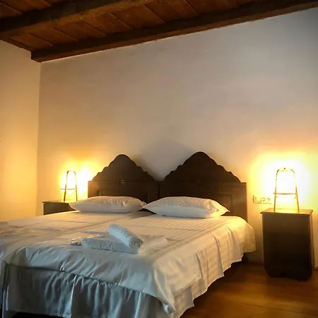 Guest house The Carpathian