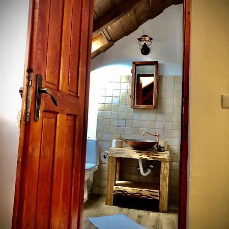 Guest house The Carpathian *