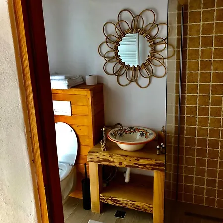 The Carpathian Guest house Runcu (Gorj)