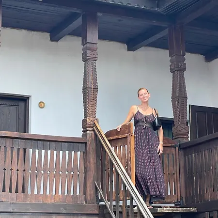 The Carpathian Guest house *