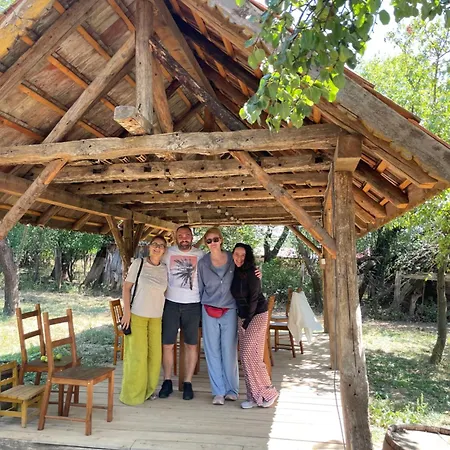 Guest house The Carpathian *